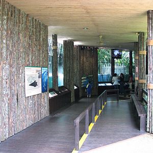 Singapore Zoo 2008 - Indo-Pacific Estuarine Crocodile exhibit in the Bornea