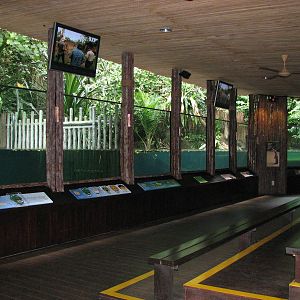 Singapore Zoo 2008 - Front of the Indo-Pacific Estuarine Crocodile exhibit