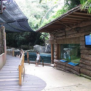 Singapore Zoo 2008 - Right entrance to the Splash Amphitheatre