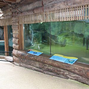 Singapore Zoo 2008 - Indoor exhibit for Jackass Penguins