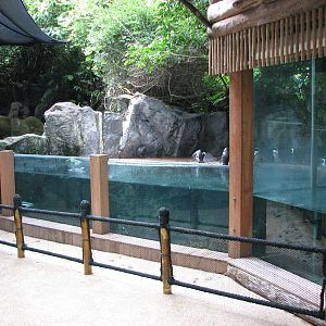 Singapore Zoo 2008 - Right side of the Splash Amphitheatre