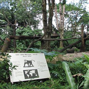 Singapore Zoo 2008 - Lion-tailed Macaque Island in Primate Kingdom