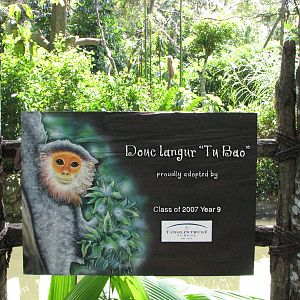Singapore Zoo 2008 - Beautiful sign on the Douc Langur exhibit in Primate K