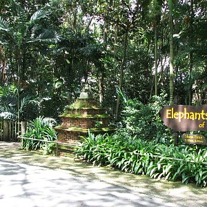 Singapore Zoo 2008 - Entrance to Elephants of Asia