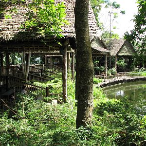 Singapore Zoo 2008 - Viewing deck in Elephants of Asia