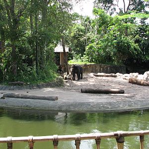 Singapore Zoo 2008 - Front of an exhibit in Elephants of Asia