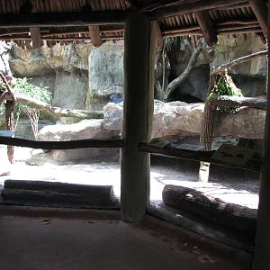 Singapore Zoo 2008 - Front of Rock Hyrax exhibit in the Great Rift Valley o