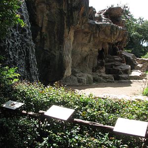 Singapore Zoo 2008 - Part of exhibit for Nubian Ibex and Hamadryas Baboons