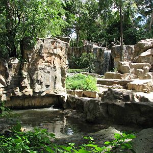 Singapore Zoo 2008 - Third part of exhibit for Nubian Ibex and Hamadryas Ba