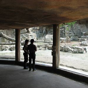 Singapore Zoo 2008 - Viewing room at the Great Rift Valley of Ethiopia