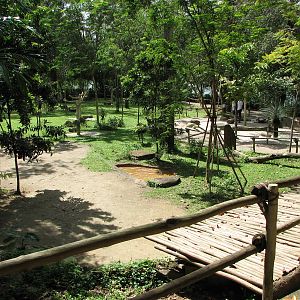 Singapore Zoo 2008 - Walk-through Australian exhibit at the Australian Outb