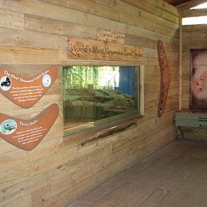 Singapore Zoo 2008 - Inland Taipan exhibit at the Australian Outback