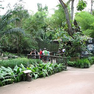 Singapore Zoo 2008 - Viewing deck in front of the White Tiger exhibit