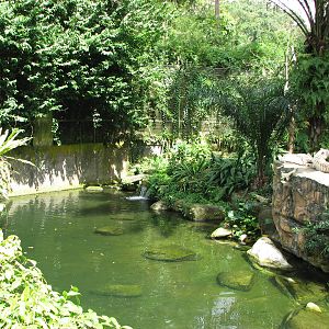 Singapore Zoo 2008 - Left side of the moat of the White Tiger exhibit