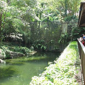 Singapore Zoo 2008 - Right side of the moat of the White Tiger exhibit