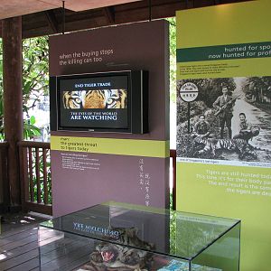 Singapore Zoo 2008 - Educational displays in front of the White Tiger exhib