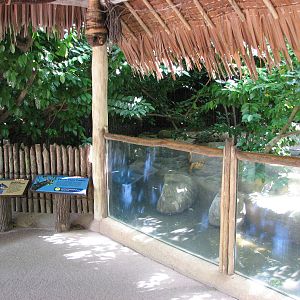 Singapore Zoo 2008 - Viewing deck in front of the Malayan Tapir exhibit