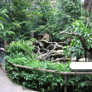 Singapore Zoo 2008 - Otter exhibit