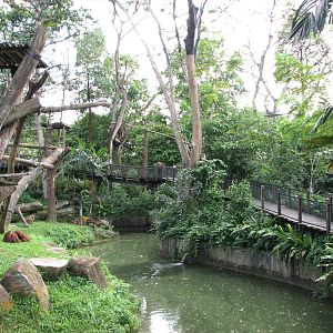 Singapore Zoo 2008 - Boardwalk at the Bornean Orangutan Island