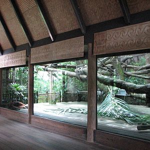 Singapore Zoo 2008 - Viewing deck in front of the Sumatran Orangutan exhibi