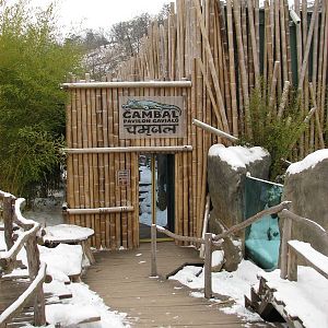 Cambal - Gharial house