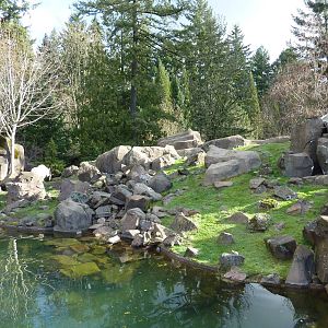 Rocky Mountain Goat Exhibit