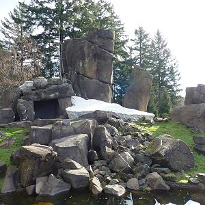 Rocky Mountain Goat Exhibit