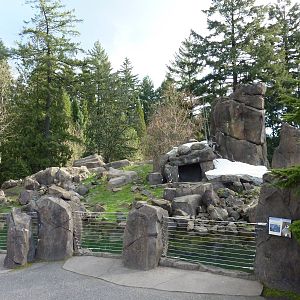Rocky Mountain Goat Exhibit