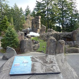 Rocky Mountain Goat Exhibit