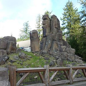 Rocky Mountain Goat Exhibit