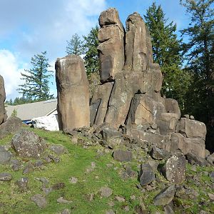 Rocky Mountain Goat Exhibit