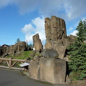 Rocky Mountain Goat Exhibit