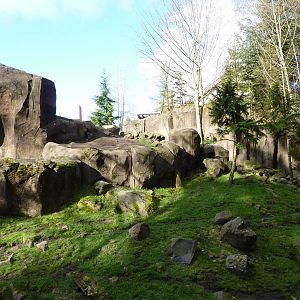 Rocky Mountain Goat Exhibit