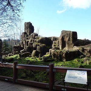 Rocky Mountain Goat Exhibit