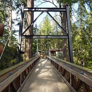 The Great Northwest - Bridge