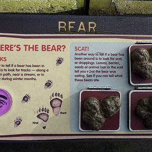 Bear Scat Sign