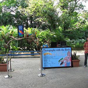 Jurong Bird Park 2008 - Stage for Visitor and Macaw photography