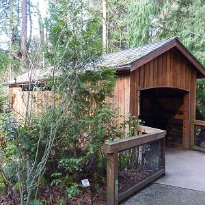 The Great Northwest - Bridge