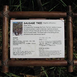 Jurong Bird Park 2008 - Sign in five languages