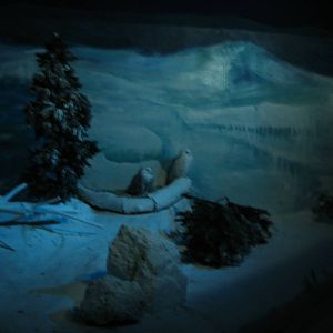 Jurong Bird Park 2008 - Snow Owls in the World of Darkness