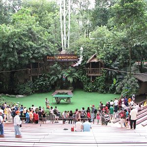 Jurong Bird Park 2008 - The Pools Amphitheatre