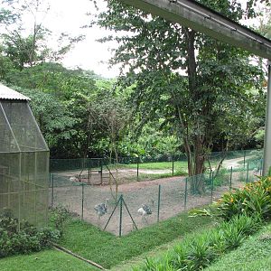 Jurong Bird Park 2008 - Common Rhea enclosure and Monorail line