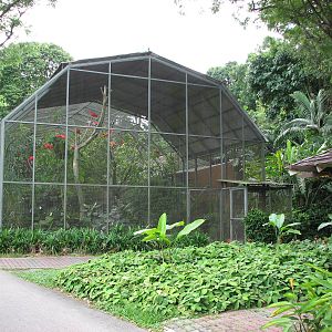Jurong Bird Park 2008 - Scarlet Ibis enclosure