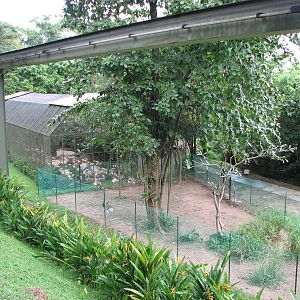 Jurong Bird Park 2008 - Common Rhea enclosure and Monorail line