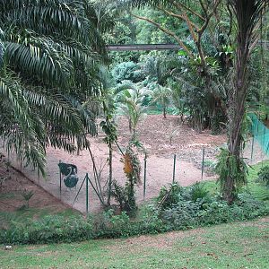 Jurong Bird Park 2008 - Ostrich enclosure seen from the Monorail
