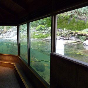 River Otter Exhibit