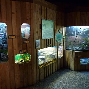 Amphibian/Reptile Terrariums