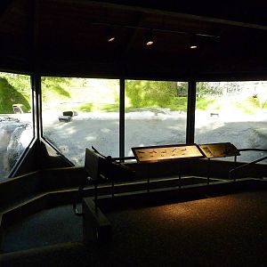Beaver Exhibit