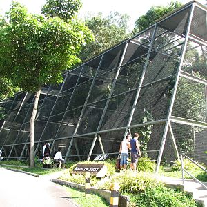 Jurong Bird Park 2008 - First Birds of Prey row