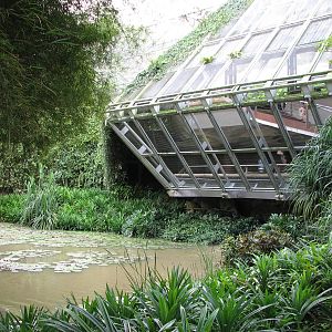 Jurong Bird Park 2008 - Outside the Waterfall Aviary